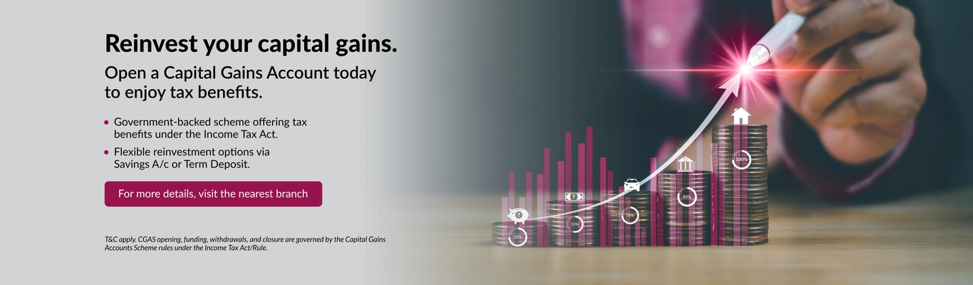 capital-gain-account-scheme capital-gain-account-scheme