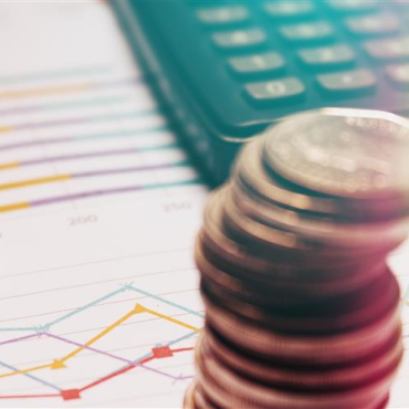 Treasury Bill (T-bills) Treasury Bill (T-bills)