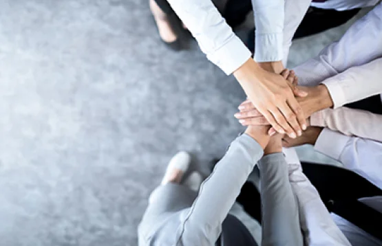 Our Subsidiaries Our Subsidiaries